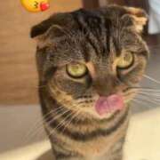 ヒメ日記 2025/08/26 14:40 投稿 えび DOLCE