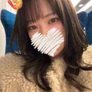 ヒメ日記 2025/12/19 09:16 投稿 えび DOLCE