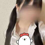 ヒメ日記 2025/03/28 18:50 投稿 ゆめの 新世紀