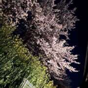 ヒメ日記 2025/04/14 23:39 投稿 ゆめの 新世紀