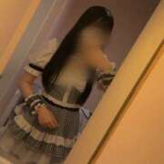 ヒメ日記 2025/08/20 19:21 投稿 ゆめの 新世紀