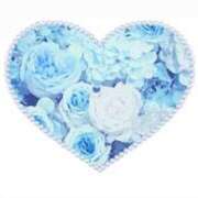 ヒメ日記 2024/12/22 14:27 投稿 れん 快楽夫人