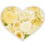 ヒメ日記 2024/12/24 16:53 投稿 れん 快楽夫人