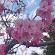 ヒメ日記 2025/04/19 14:33 投稿 あみ☆NEW ファンタジー福島店～福島でデリヘルもメンズエステも楽しめる素敵なお店～