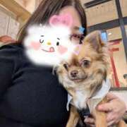 ヒメ日記 2026/03/25 16:29 投稿 ぱいん ぽっちゃりデリヘル倶楽部