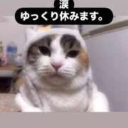 ヒメ日記 2025/03/11 15:48 投稿 のえる ナメすぎサークル立川店