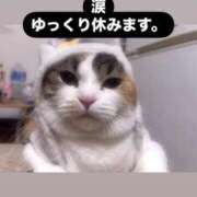 のえる ごめんなさい。 ナメすぎサークル立川店