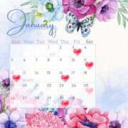 ヒメ日記 2024/12/31 11:25 投稿 神木あきほ（かみきあきほ） 桃色奥様(佐賀)