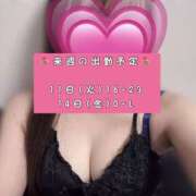 ヒメ日記 2025/03/08 01:53 投稿 瑠璃 OLアロマ Office Love-オフィスラブ-