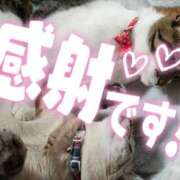 ヒメ日記 2026/01/23 07:40 投稿 ほのか クラブレア南大阪