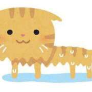 ヒメ日記 2025/06/25 18:18 投稿 つき 東京アロマスタイル