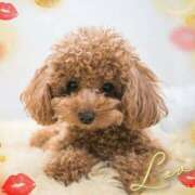 ヒメ日記 2025/11/13 11:55 投稿 くくる デリトップ