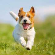 くくる こんばんは！ デリトップ