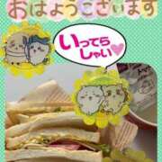 ヒメ日記 2025/04/29 08:14 投稿 大槻要(おおつきかなめ) 五十路マダムエクスプレス厚木店(カサブランカグループ)