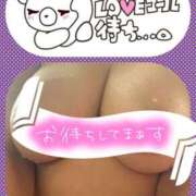 ヒメ日記 2025/07/23 16:00 投稿 大槻要(おおつきかなめ) 五十路マダムエクスプレス厚木店(カサブランカグループ)