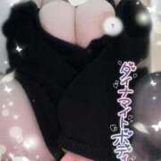 ヒメ日記 2025/03/27 04:58 投稿 せしる 奥様特急　上野・鶯谷店