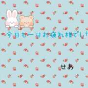 ヒメ日記 2024/10/31 20:47 投稿 せあ 素人妻御奉仕倶楽部Hip's松戸店