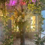 ヒメ日記 2025/01/22 15:29 投稿 奈緒(なお) グランドオペラ横浜