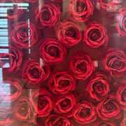 ヒメ日記 2025/03/12 03:41 投稿 奈緒(なお) グランドオペラ横浜