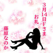 ヒメ日記 2025/04/16 13:39 投稿 藤原なのか 一夜妻