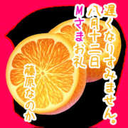 ヒメ日記 2025/08/16 17:39 投稿 藤原なのか 一夜妻