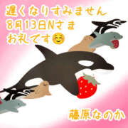 ヒメ日記 2025/08/19 22:19 投稿 藤原なのか 一夜妻