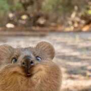 ヒメ日記 2025/08/05 15:00 投稿 【夏目 える】 梅田ムチSpa女学院