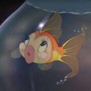 ヒメ日記 2025/08/22 23:54 投稿 【夏目 える】 梅田ムチSpa女学院