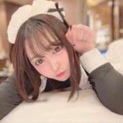 ヒメ日記 2025/10/15 13:48 投稿 えむ PHANTOM(ファントム)