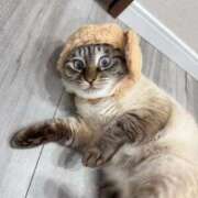 えむ こんにちはえむだよ🙌💕 PHANTOM(ファントム)