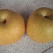 ヒメ日記 2025/08/23 12:09 投稿 ひなの 熟女の風俗最終章 新潟店