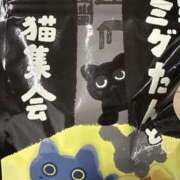 ヒメ日記 2026/03/07 20:02 投稿 アユ 尼妻（あまづま）