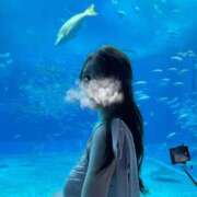 ヒメ日記 2025/11/03 04:38 投稿 つばき シャブール