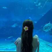 ヒメ日記 2025/11/08 05:46 投稿 つばき シャブール