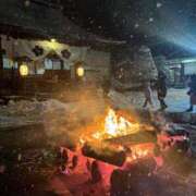 ヒメ日記 2025/12/31 20:00 投稿 つばき シャブール