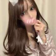 ヒメ日記 2026/02/22 11:30 投稿 つばき シャブール