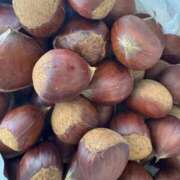 ヒメ日記 2025/09/16 14:04 投稿 えみり ルーブル