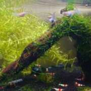 ヒメ日記 2025/09/19 08:14 投稿 えみり ルーブル