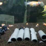 ヒメ日記 2025/09/24 17:04 投稿 えみり ルーブル