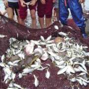 ヒメ日記 2025/09/29 11:14 投稿 えみり ルーブル