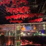 ヒメ日記 2025/10/04 22:34 投稿 えみり ルーブル