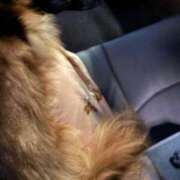 ヒメ日記 2025/10/06 00:34 投稿 えみり ルーブル