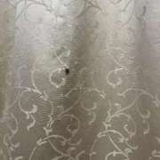 ヒメ日記 2025/10/08 01:54 投稿 えみり ルーブル