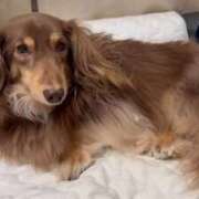 ヒメ日記 2025/10/26 16:24 投稿 えみり ルーブル