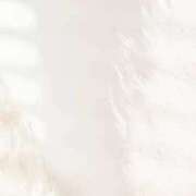 ヒメ日記 2025/10/27 11:24 投稿 えみり ルーブル