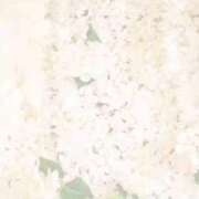 ヒメ日記 2025/10/29 11:54 投稿 えみり ルーブル