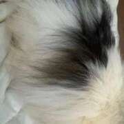 ヒメ日記 2025/11/04 22:14 投稿 えみり ルーブル