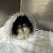 ヒメ日記 2025/11/29 22:04 投稿 えみり ルーブル