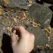 ヒメ日記 2025/12/03 11:54 投稿 えみり ルーブル