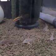 えみり 【お礼写メ日記】54件目 ルーブル